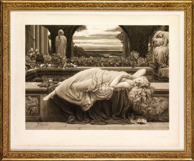 Sueño de verano de John Douglas Miller
