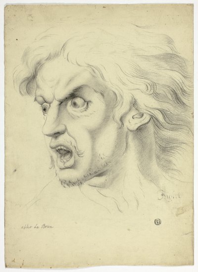 Fright de John Downman
