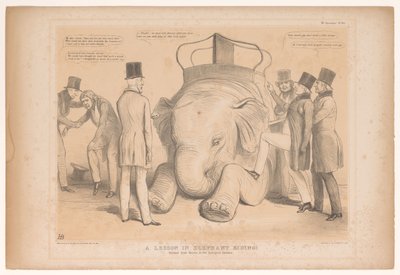 Spotprent over de aanstelling van Henry Hardinge como gobernador de India ¡Una lección de montar en elefante! Estudiado de la Naturaleza en el Jardín Zoológico (título sobre el objeto) Bocetos HB (título de la serie en el objeto) de John Doyle