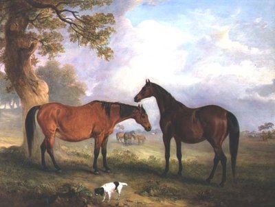 Yeguas de cría en el pasto de John E. Ferneley