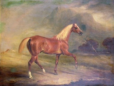 Semental árabe castaño de John E. Ferneley