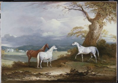 Las yeguas de Lord Macdonald en los terrenos de Thorpe Hall, Rudston, Yorkshire, 1836 de John E. Ferneley