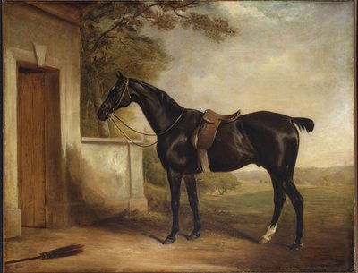 Retrato de Buckle, el Cazador del Primer Lord Chesham, 1836 de John E. Ferneley