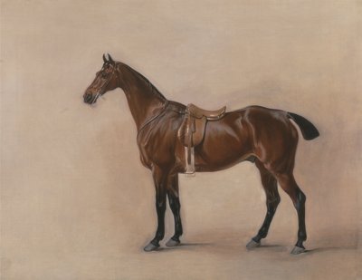 Estudio de un Caballo Bay Ensillado de John E. Ferneley