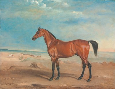 El semental árabe "Orelio" en un paisaje desértico, otros caballos y figuras más allá de John E. Ferneley