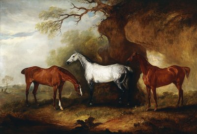 Tres Cazadores pertenecientes a Robert Myddelton-Biddulph de John E. Ferneley
