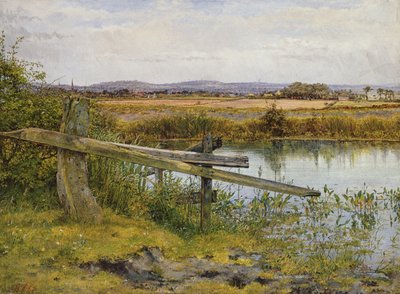 El Borde del Camino de John Edward Newton