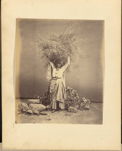 [Joven campesina india con ramitas en la cabeza] de John Edward Saché