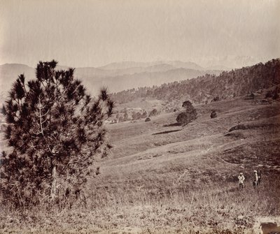Paisaje con árbol y tres hombres, India de John Edward Saché