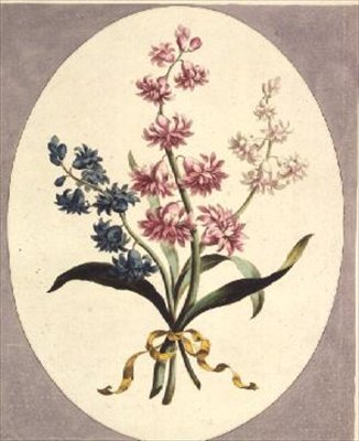 Jacintos Orientales de John Edwards