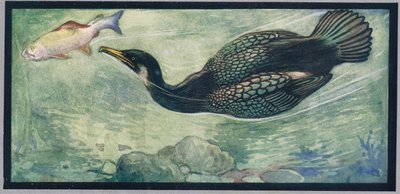 Un pájaro persiguiendo un pez, ilustración de "Helpers Without Hands" de Gladys Davidson, publicada en 1919 (litografía en color) de John Edwin Noble