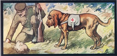 Sabueso de Ambuland, ilustración de "Helpers Without Hands" de Gladys Davidson, publicada en 1919 (litografía en color) de John Edwin Noble