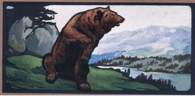 Oso pardo de John Edwin Noble