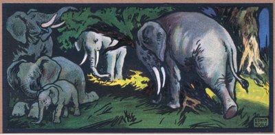 Elefante en la selva de John Edwin Noble