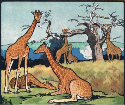 Jirafas, ilustración de "Pads, Paws and Claws" de P. Pycraft de John Edwin Noble