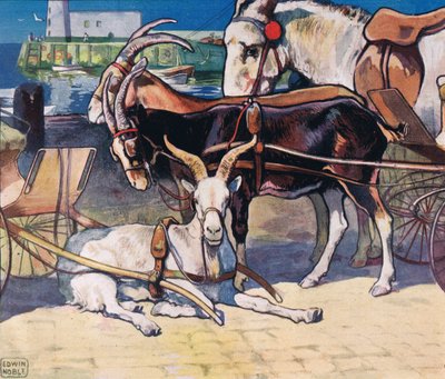 Cabras descansando, ilustración de "Helpers Without Hands" de Gladys Davidson, publicada en 1919 (litografía en color) de John Edwin Noble