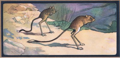 Jerboa de John Edwin Noble