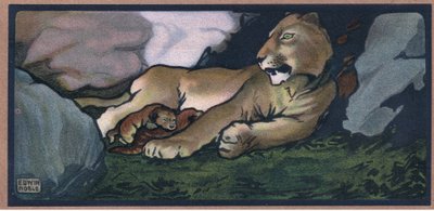 León con cría de John Edwin Noble