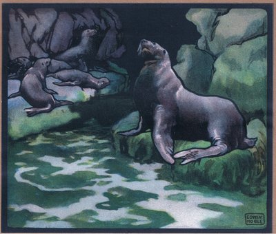 Leones marinos de John Edwin Noble
