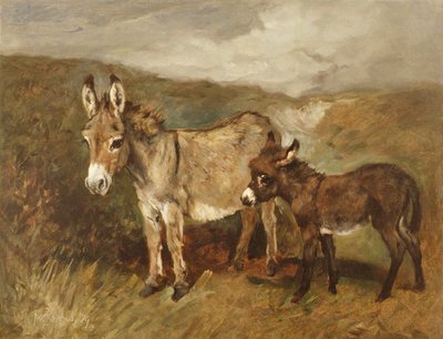 Burros en el páramo, c.1890 de John Emms