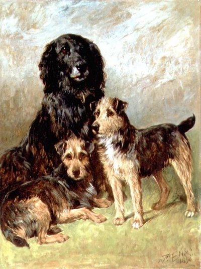 Mascotas de la familia de John Emms
