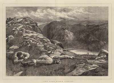 La mirada del viejo ciervo de John Evan Hodgson