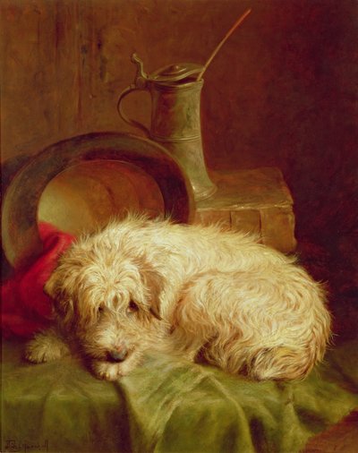 Un terrier de John Fitz Marshall