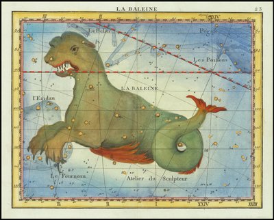 1776 - John Flamsteed - La Baleine (Cetus) de John Flamsteed