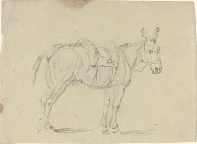 Burro estirando una pata trasera de John Flaxman