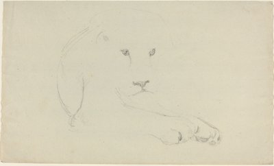 León de John Flaxman