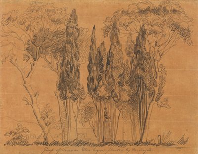 Árboles de la Villa Negroni plantados por M. Angelo de John Flaxman
