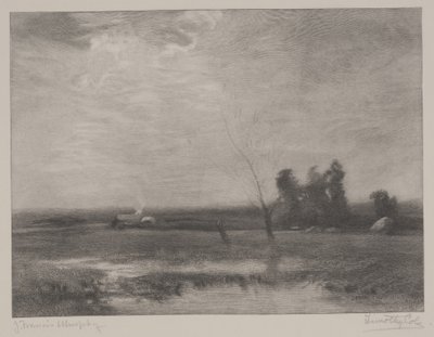 Tarde en las tierras bajas de John Francis Murphy