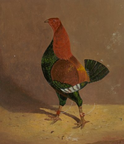 Gallos de pelea: un gallo de pelea de pecho oscuro, mirando a la izquierda de John Frederick Herring