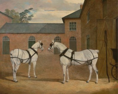 Caballos grises de carruaje en la cochera de Putteridge Bury, Hertfordshire de John Frederick Herring