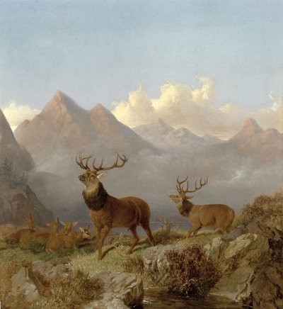 (detalle) Ciervos y Ciervas en un Paisaje de las Tierras Altas, 1864 de John Frederick Herring Junior