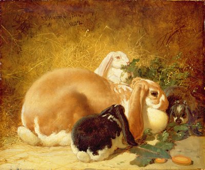 Conejos, 1852 de John Frederick Herring Junior