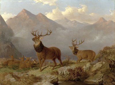 Ciervos y Ciervas en un Paisaje de las Tierras Altas, 1864 de John Frederick Herring Junior