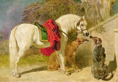 Las mascotas del escudero de John Frederick Herring Jnr