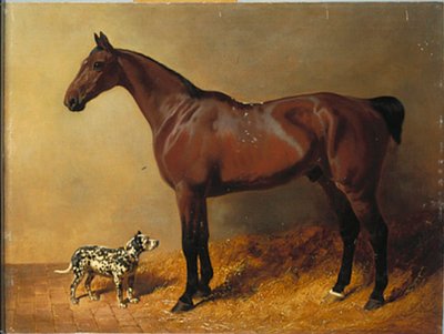 Un cazador de bahía y un perro manchado en un interior de establo, 1846 de John Frederick Herring Senior