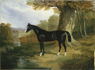 Un cazador oscuro en un paisaje fluvial, 1832 de John Frederick Herring Senior