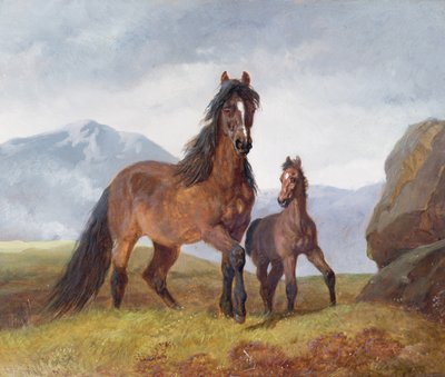 Yegua y potro de montaña galesa, 1854 de John Frederick Herring Senior