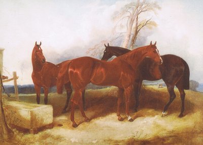 Un grupo de caballos, de una fuente de revista o libro desconocida de John Frederick Herring Senior
