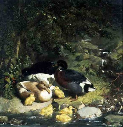 Patos y Patitos de John Frederick Herring Senior