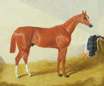 Elis de John Frederick Herring Senior