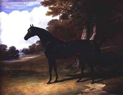 Gaucus, un caballo bayo oscuro en un paisaje boscoso de John Frederick Herring Senior