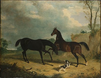 Cazadores y un spaniel en un paisaje boscoso, 1835 de John Frederick Herring Senior