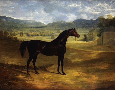 Jack Spigot, un caballo de carreras oscuro en un paddock en Bolton Hall de John Frederick Herring Senior