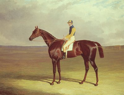La muleta del Sr. M. Stanley en Newmarket Heath, 1833 de John Frederick Herring Senior