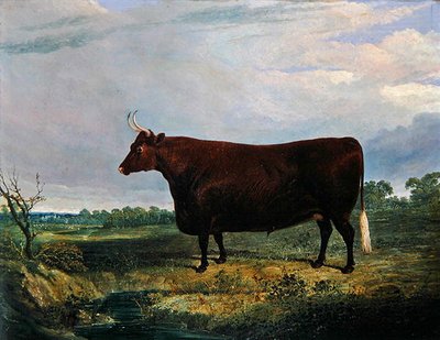 Retrato de un toro marrón de John Frederick Herring Senior