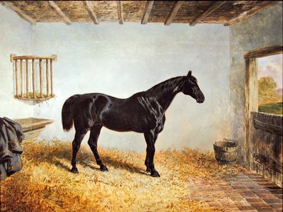 Retrato de un semental en un establo de John Frederick Herring Senior